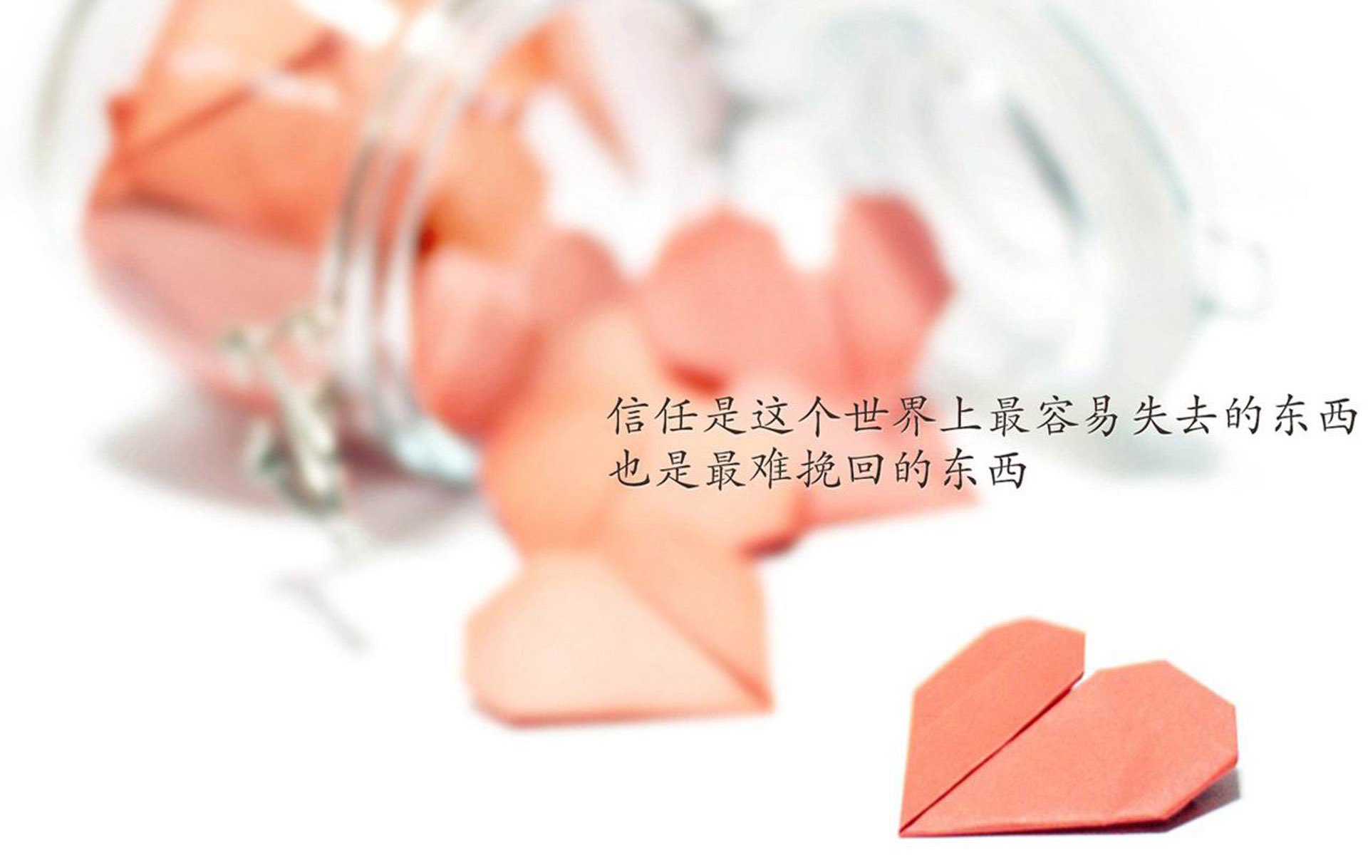 NBA球员训练营课程介绍，nba球队训练营