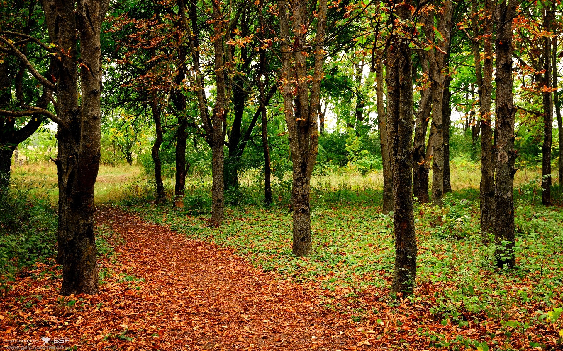 女子篮球国家队增加高强度对抗训练适应国际节奏,女子篮球国家队怎么进