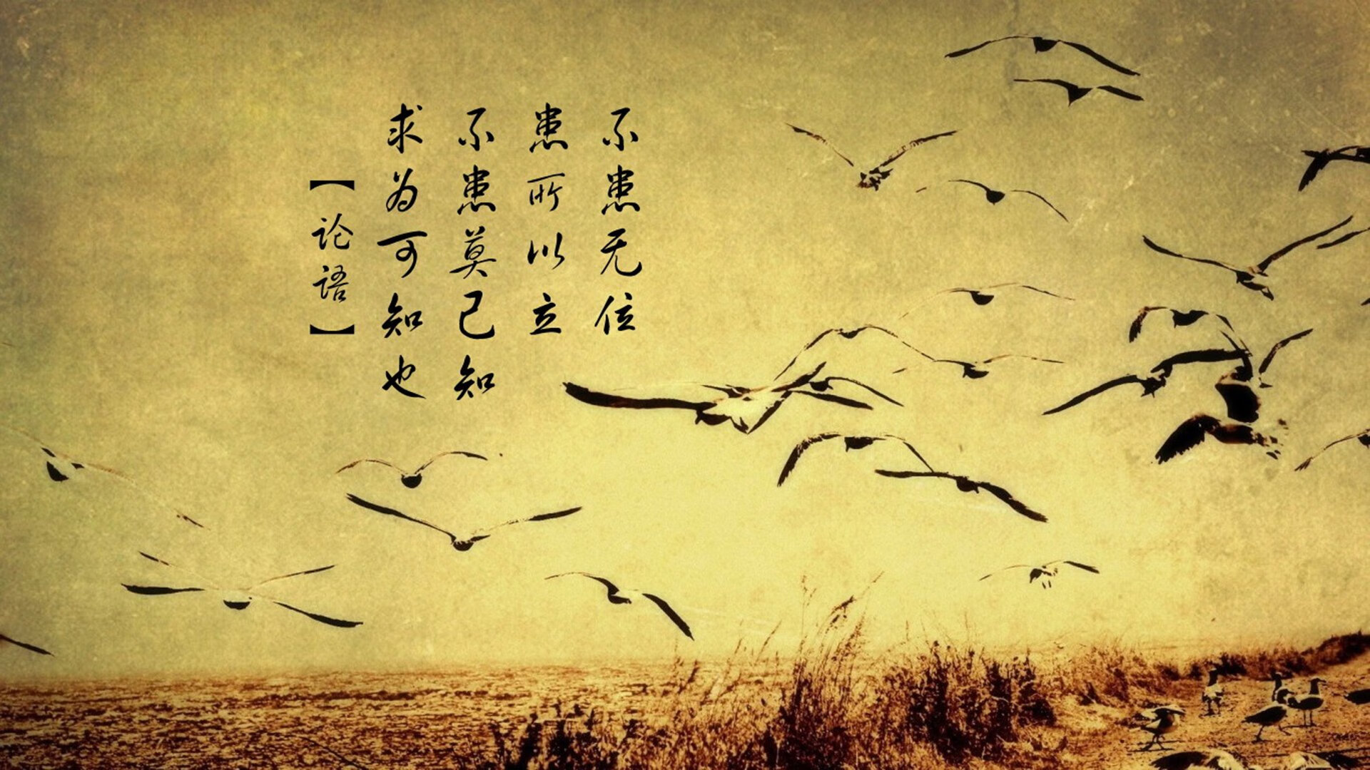 库策精准转身成决赛关键点