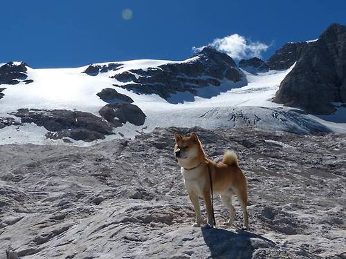 波兰蝶泳名将赫梅列夫斯基稳健出击，波兰蝶泳名将赫梅列夫斯基稳健出击