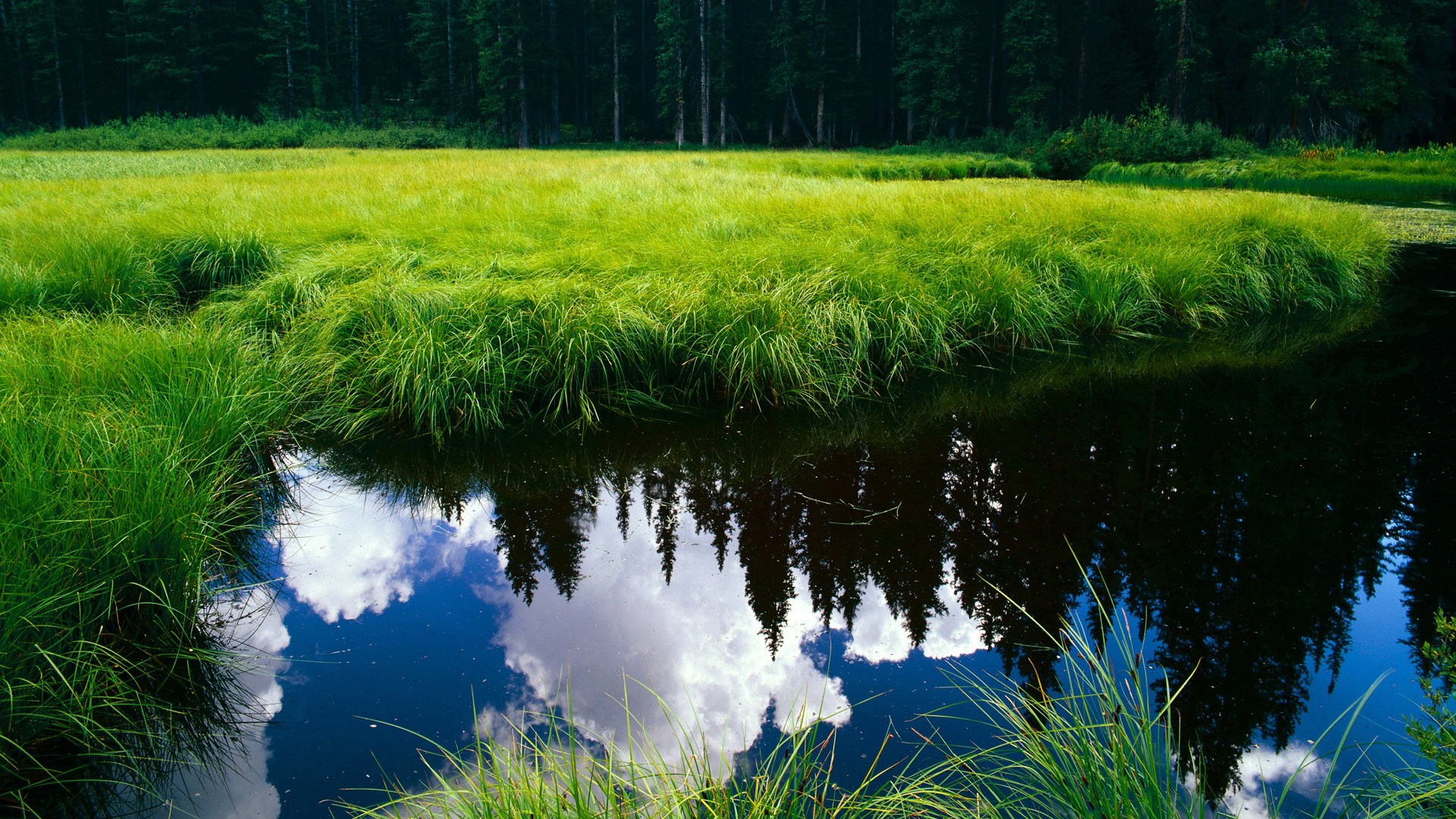 九游娱乐APP-特斯·冯·迪克：精准的长传与突破能力，助力南非队打破僵局，冯·迪特里施