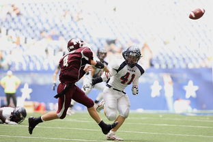 -皮特·斯图斯：南非羚羊队的防守核心，一直稳定发挥