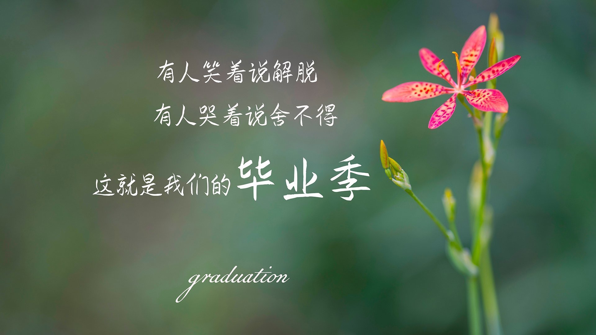 西蒙蛙泳冲刺阶段惊艳全场,西蒙dc