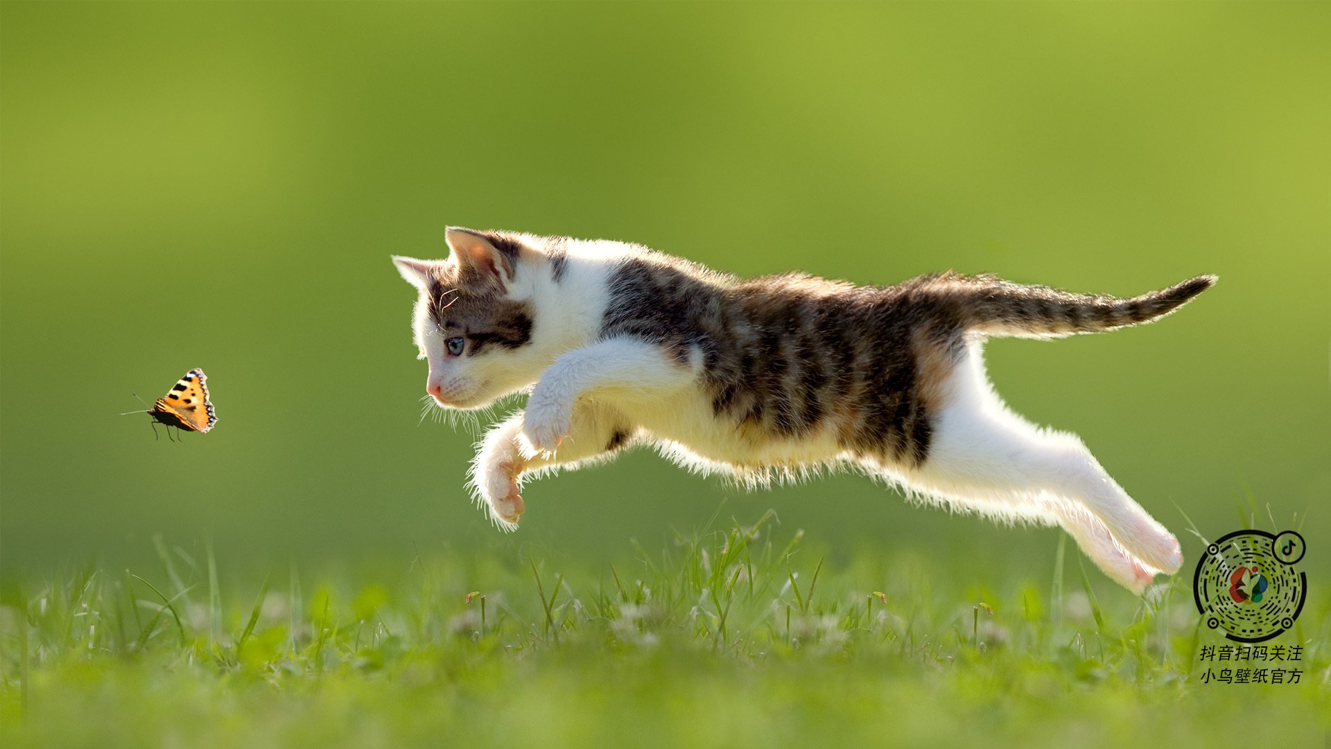 九游电脑版-覃海洋赛后分享突破自我心得，覃海洋百科