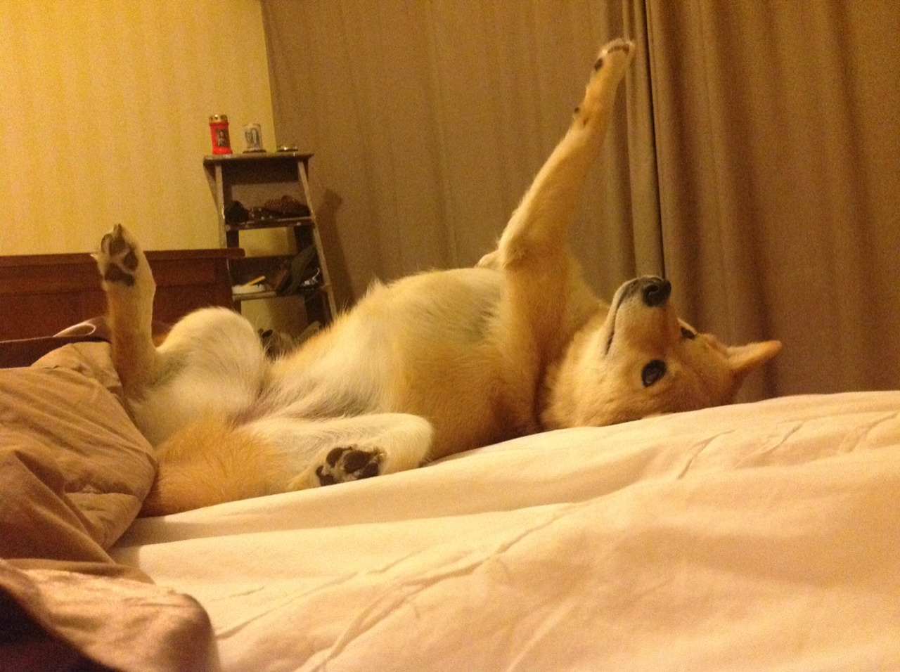 -中国篮球如何提升比赛中应对高压防守的能力，篮球如何高效防守